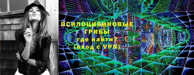 Галлюциногенные грибы GOLDEN TEACHER  Курчатов 